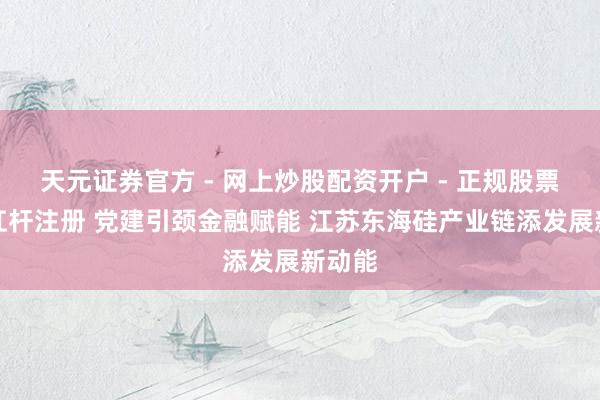 天元证券官方 - 网上炒股配资开户 - 正规股票怎么杠杆注册 党建引颈金融赋能 江苏东海硅产业链添发展新动能
